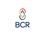 BCR Solid Solutions Logo