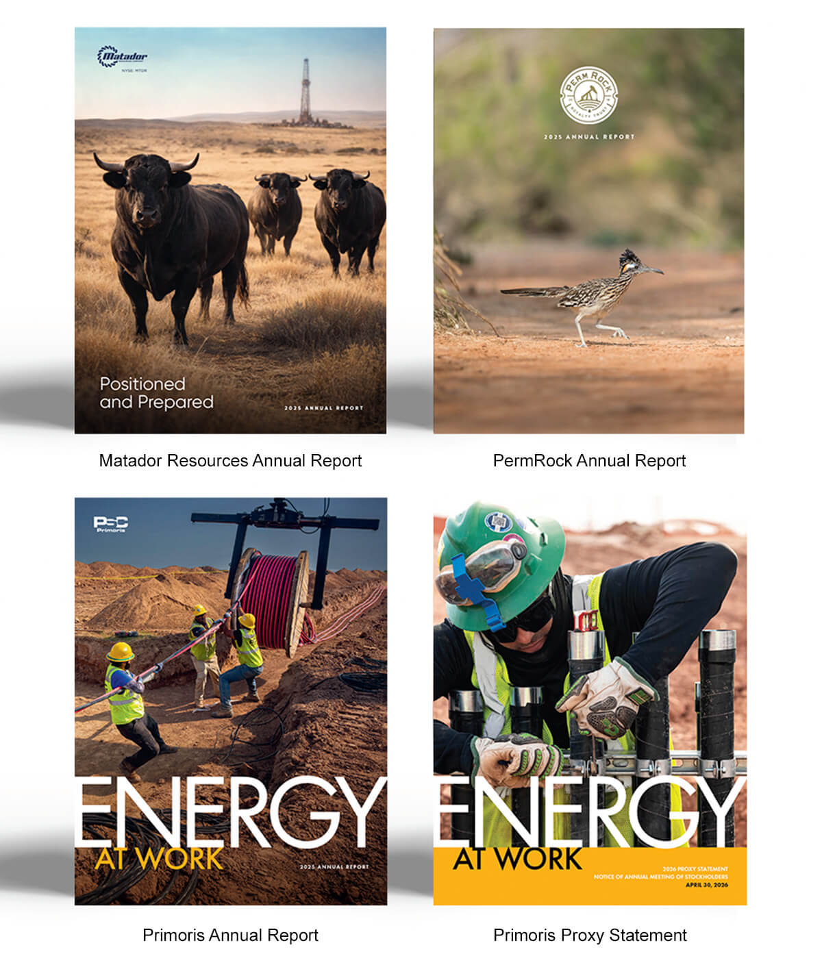 Annual Reports